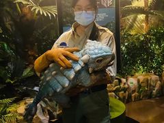 -侏罗纪世界电影特展(广州站)