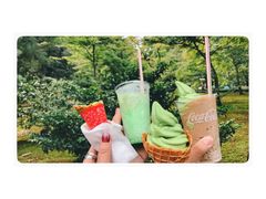 宇治抹茶冰淇淋-豆政(金閣寺境内売店)