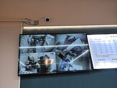 -唐小姐の私宠·宠物洗护美容·撸猫馆·购宠(周浦万达旗舰店)