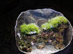 -杭州长乔极地海洋公园
