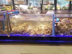 -锅儿欢海鲜火锅烤肉自助餐(东港凯虹店)