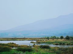 -腾冲北海湿地