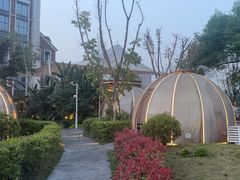 -悦见花开·花园里的火锅·露营·下午茶