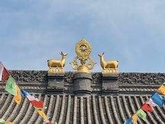 -西安市广仁寺