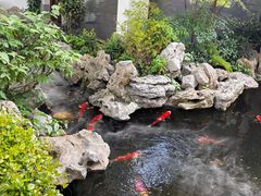 -鲤院·新中式美学·庭院餐厅(夫子庙店)