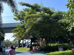 -宝安西湾红树林湿地公园