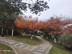 -虞山风景区