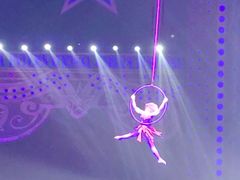 -珠海横琴长隆《卡卡虎奇遇记》