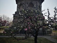 -玲珑塔公园