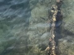 -珍珠港国家纪念馆