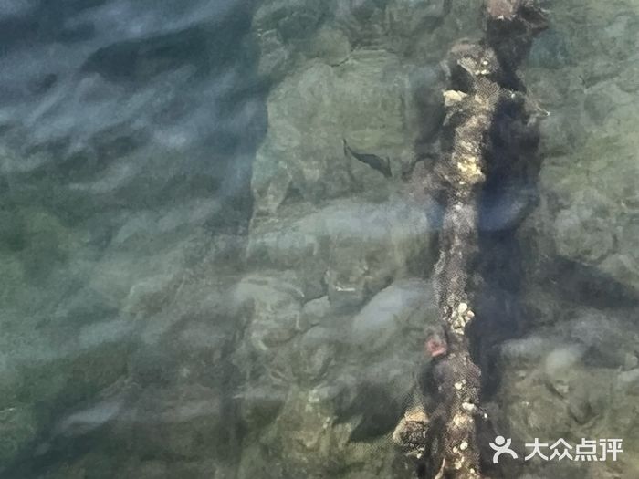 珍珠港国家纪念馆图片