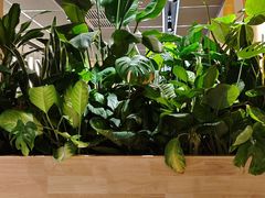 -麦当劳(祈年大街店)