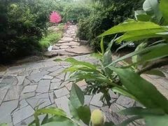 -常德桃花源景区