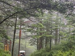 -峨眉山风景名胜区