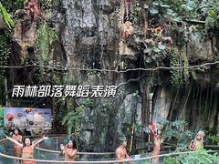 -正佳雨林生态植物园