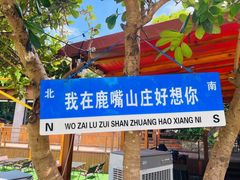 -杨梅坑