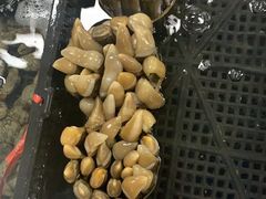 -渔人湾码头海鲜市场负二楼