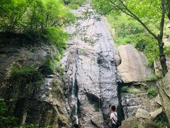 -王顺山国家森林公园