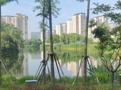 -新江湾城公园