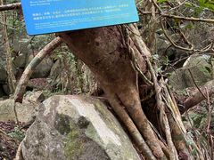 -七仙岭温泉国家森林公园