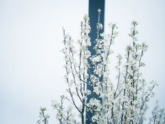 -维乐口腔医院(星海湾分院)