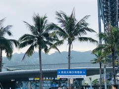 -大梅沙海滨公园