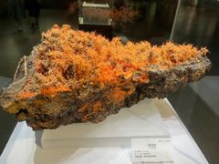 -湖南省地质博物馆