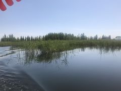 -白洋淀景区