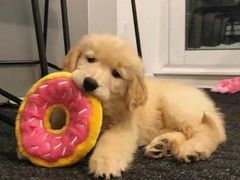 -味多美(江桥万达店)