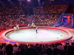 -海合安武汉极地海洋公园