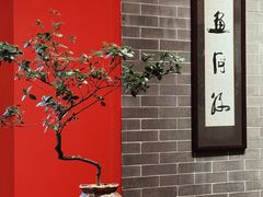 -龙悦湾酒家·八阵鱼生·渔人码头店