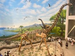 -辽宁古生物博物馆