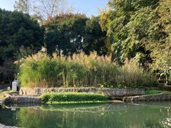 -成都市活水公园