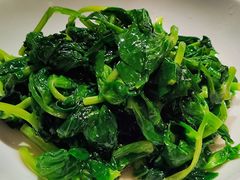 五粮液嫩豆苗-玫瑰厅上海菜(兴国路店)