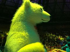 -俄罗斯国家大马戏团