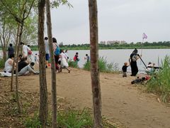 -绿堤公园