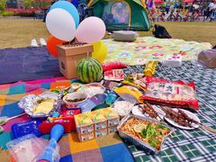 -春花秋色城市公园