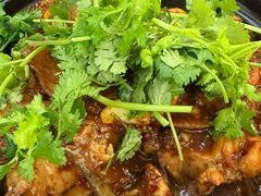 麻辣鲶鱼煲-川香煲(茅台路店)