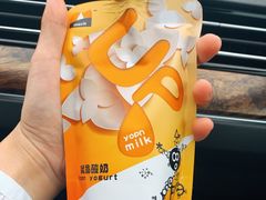 无糖酸奶-白色日记·手作酸奶(麦凯乐店)