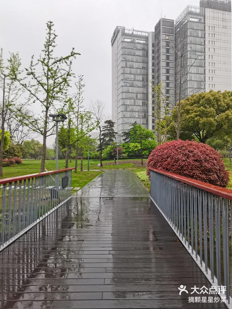 大张江碧波公园