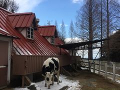 -神户市立六甲山牧场