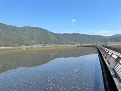 -腾冲北海湿地