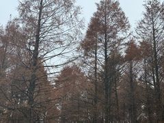 -山王坪喀斯特国家生态公园