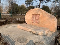 -莲花池公园