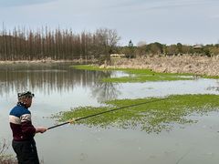 -艾溪湖湿地公园