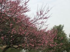 -团城山公园