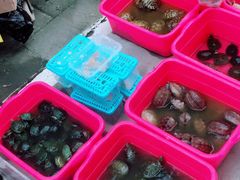 -华声天桥民俗文化园