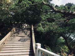-广州市流溪河国家森林公园