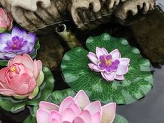 -天怡·鱼工厂(临江店)