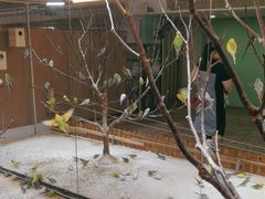 -上海大自然野生昆虫馆(东方明珠·爬宠昆虫探索中心)
